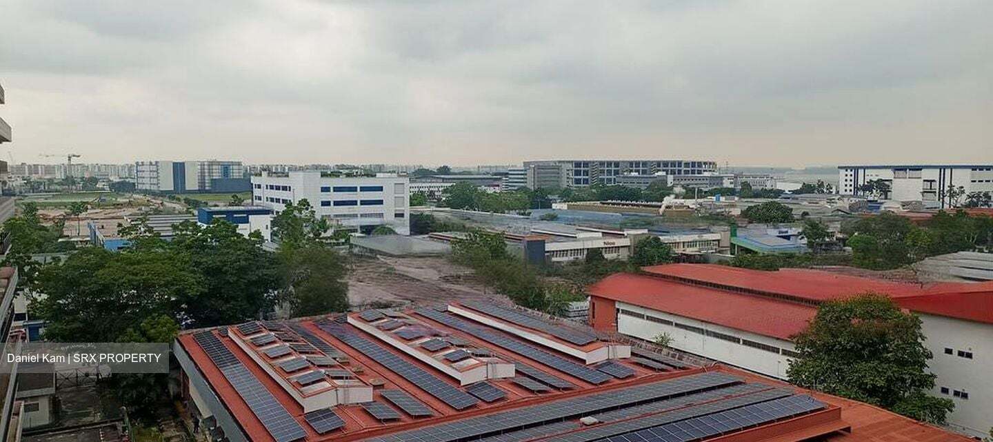 International Road (D22), Factory #486896021